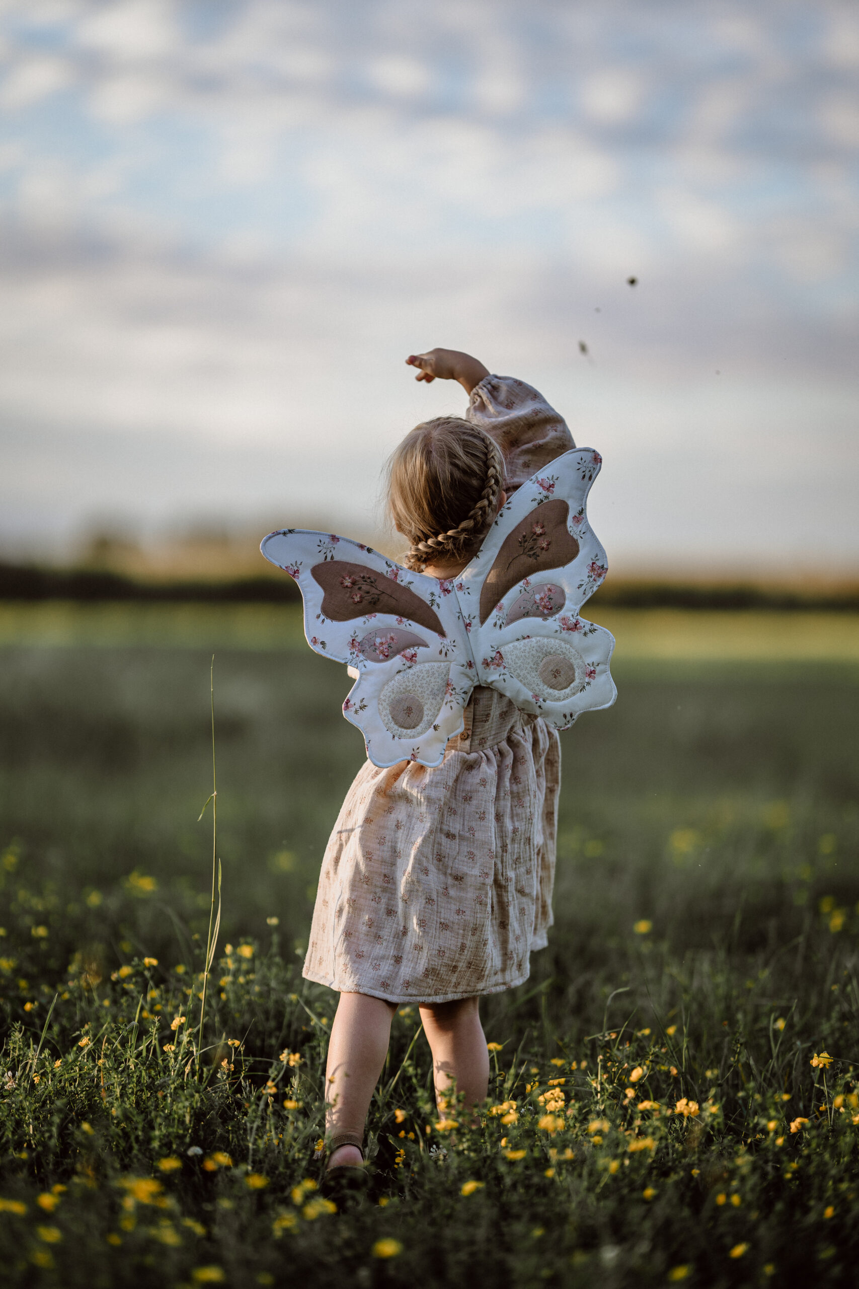 Feenflügel "morning song"